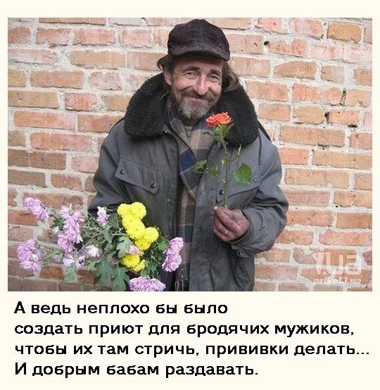 Приют для мужиков